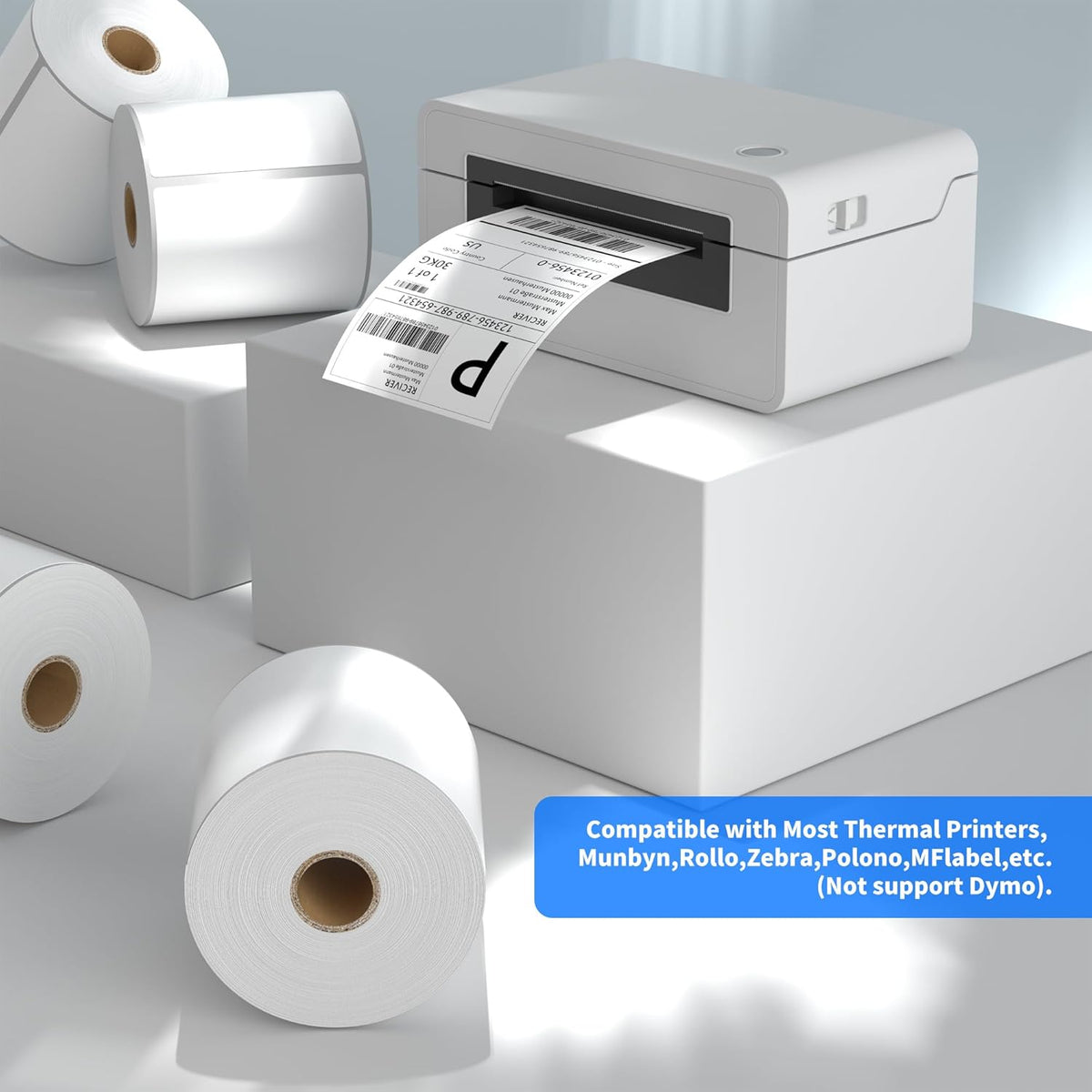 FungLam 4"x6" Direct Thermal Shipping Labels - Compatible with Zebra, Munbyn, Rollo Printers - 450 Labels Per Roll, 20 Rolls