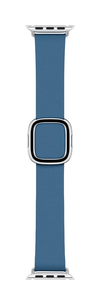 Apple Watch Modern Buckle Band (40Mm) - Cape Cod Blue - Large