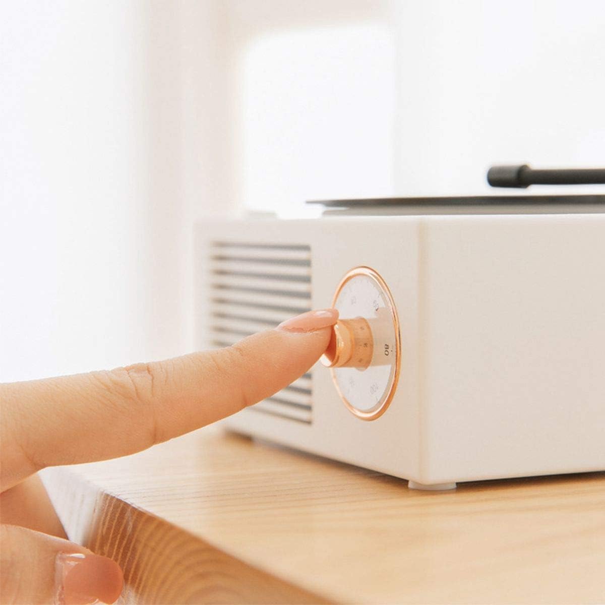 Benzama Cute White Old Fashioned Classic Style Bluetooth Speaker, Creative Vinyl Record Player Gift for Girls, Loud