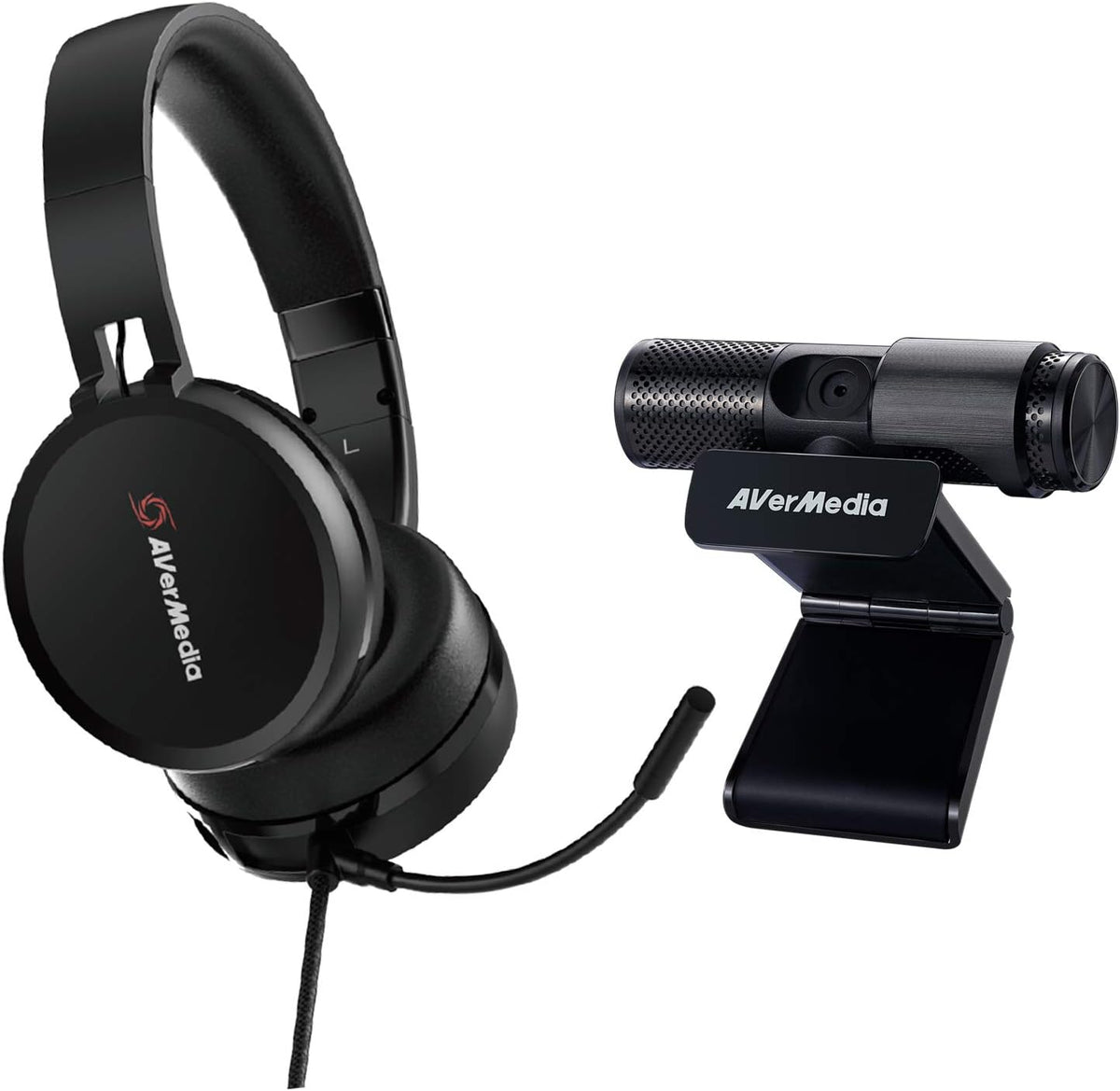 AVerMedia 317 Video Conference Kit