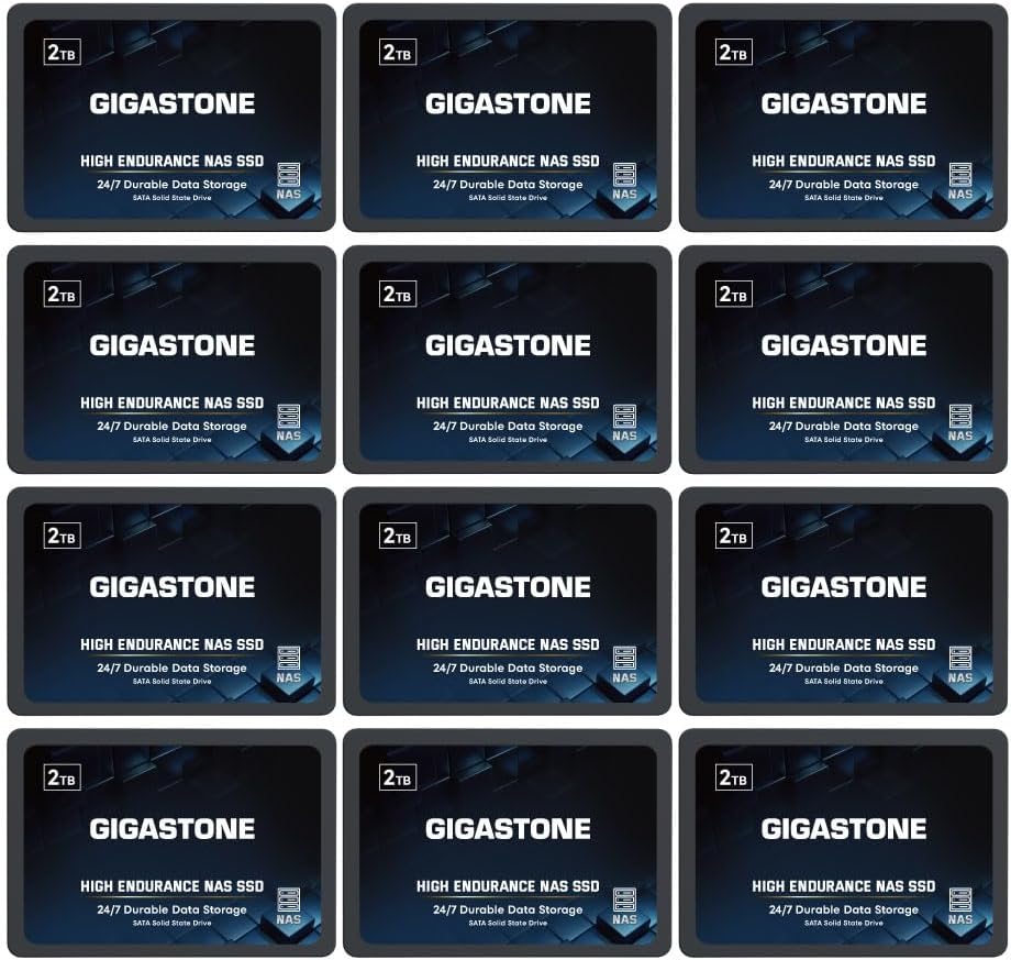 Gigastone 2TB NAS SSD Drive (12-Pack) 24/7 Durable TLC High Endurance RAID Data Storage Network Attached Storage 2.5" SATA Internal Solid State Hard Drives