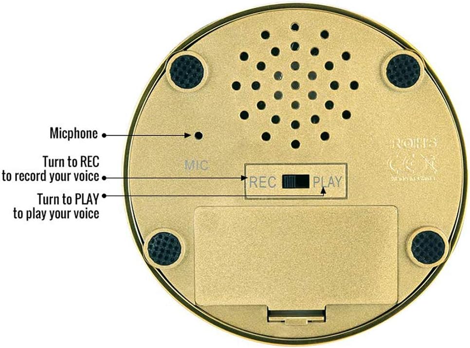 Neutral Recordable Sound Button – 30 Second Recording Button for Your Own Message (Golden)
