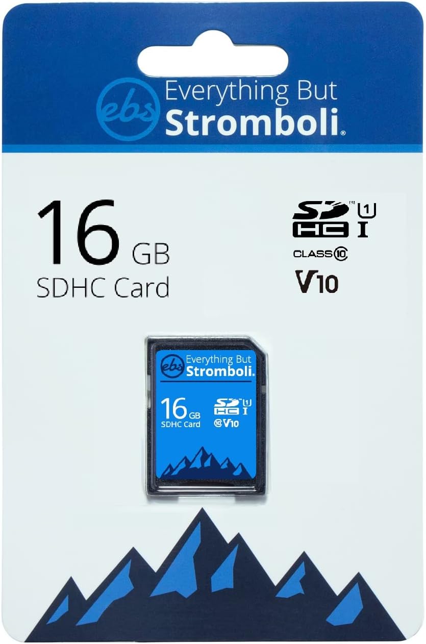 Everything But Stromboli 16GB SD Card (2 Pack), Speed Class 10 UHS-1 U1 C10 for Compatible Digital Camera, Computer