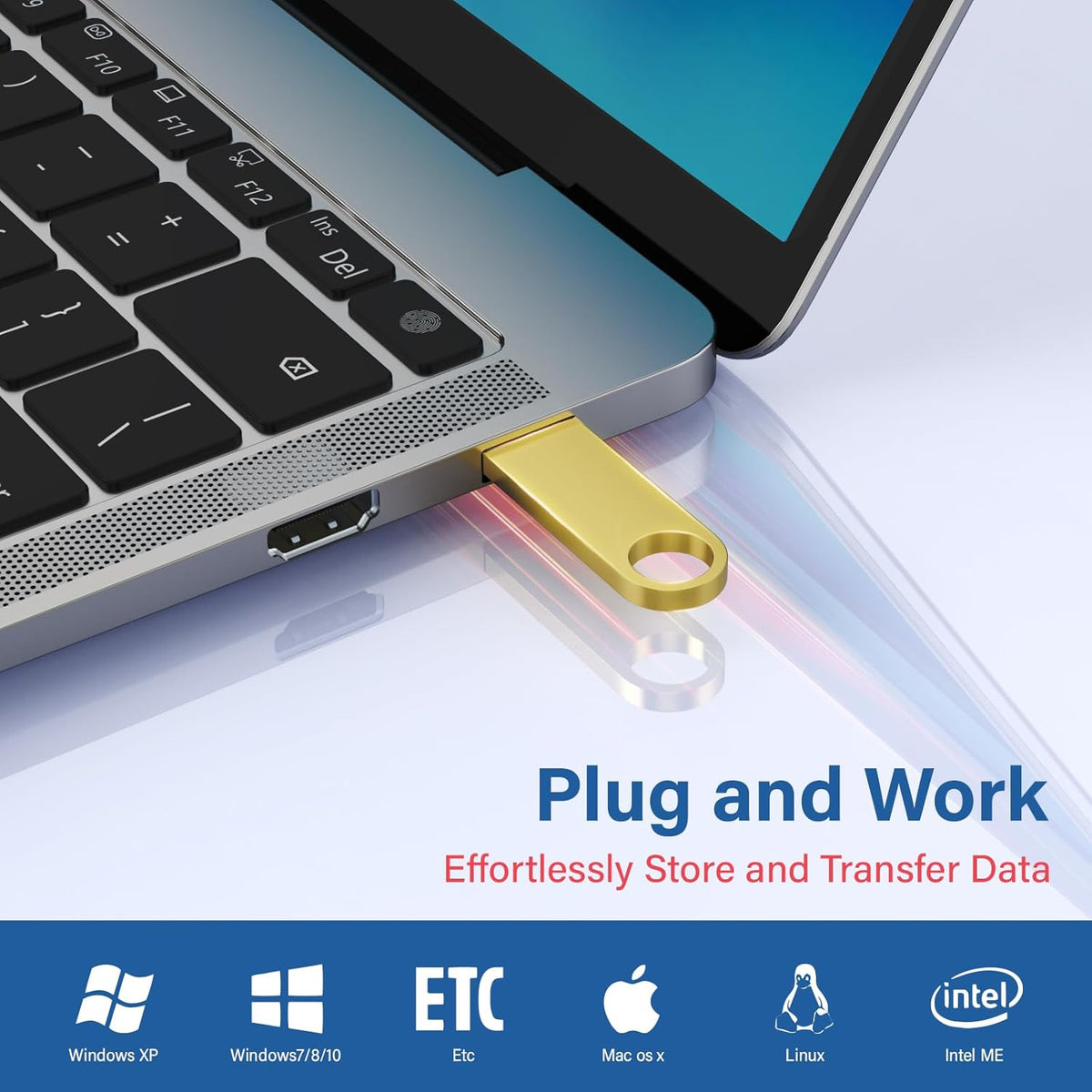 1GB USB Flash Drive 2 Pack with Keychains, Wooolken Sleek Metal USB 2.0 Thumb Drives Memory Stick for PC Laptop Computer