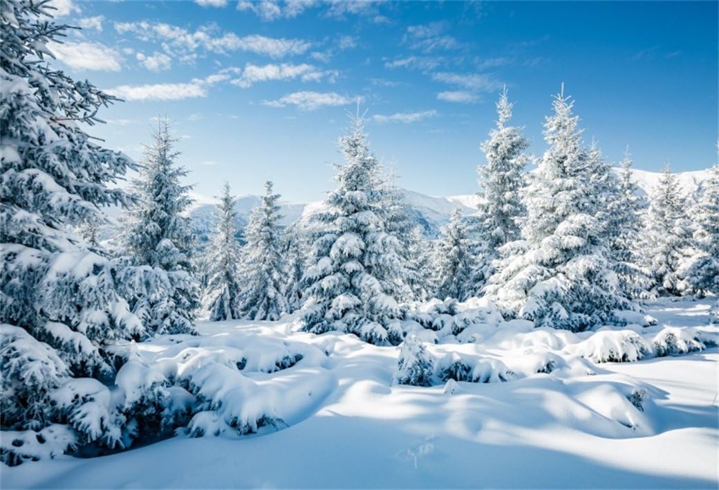 Leyiyi 5x3ft Photography Background, Snow Covered Mountain Backdrop for Christmas, Vinyl Studio Video Prop