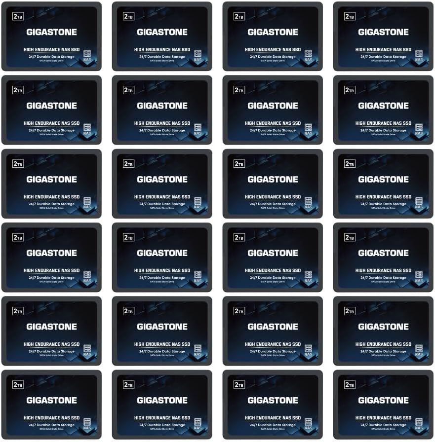 Gigastone 2TB NAS SSD Drive (24-Pack) 24/7 Durable TLC High Endurance RAID Data Storage Network Attached Storage 2.5" SATA Internal Solid State Hard Drives