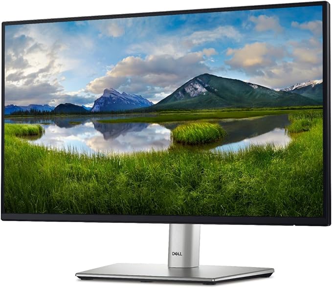 Dell 22 Monitor P2225H