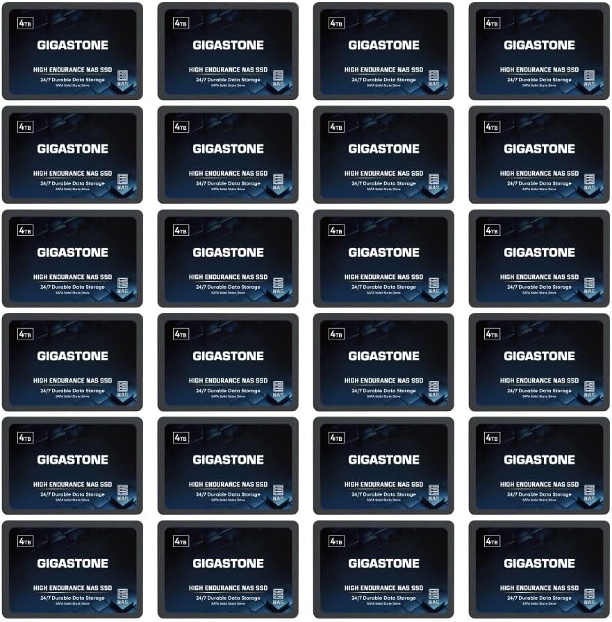 Gigastone 4TB NAS SSD Drive (24-Pack) 24/7 Durable High Endurance RAID Data Storage Network Attached Storage 2.5" SATA Internal Solid State Hard Drives