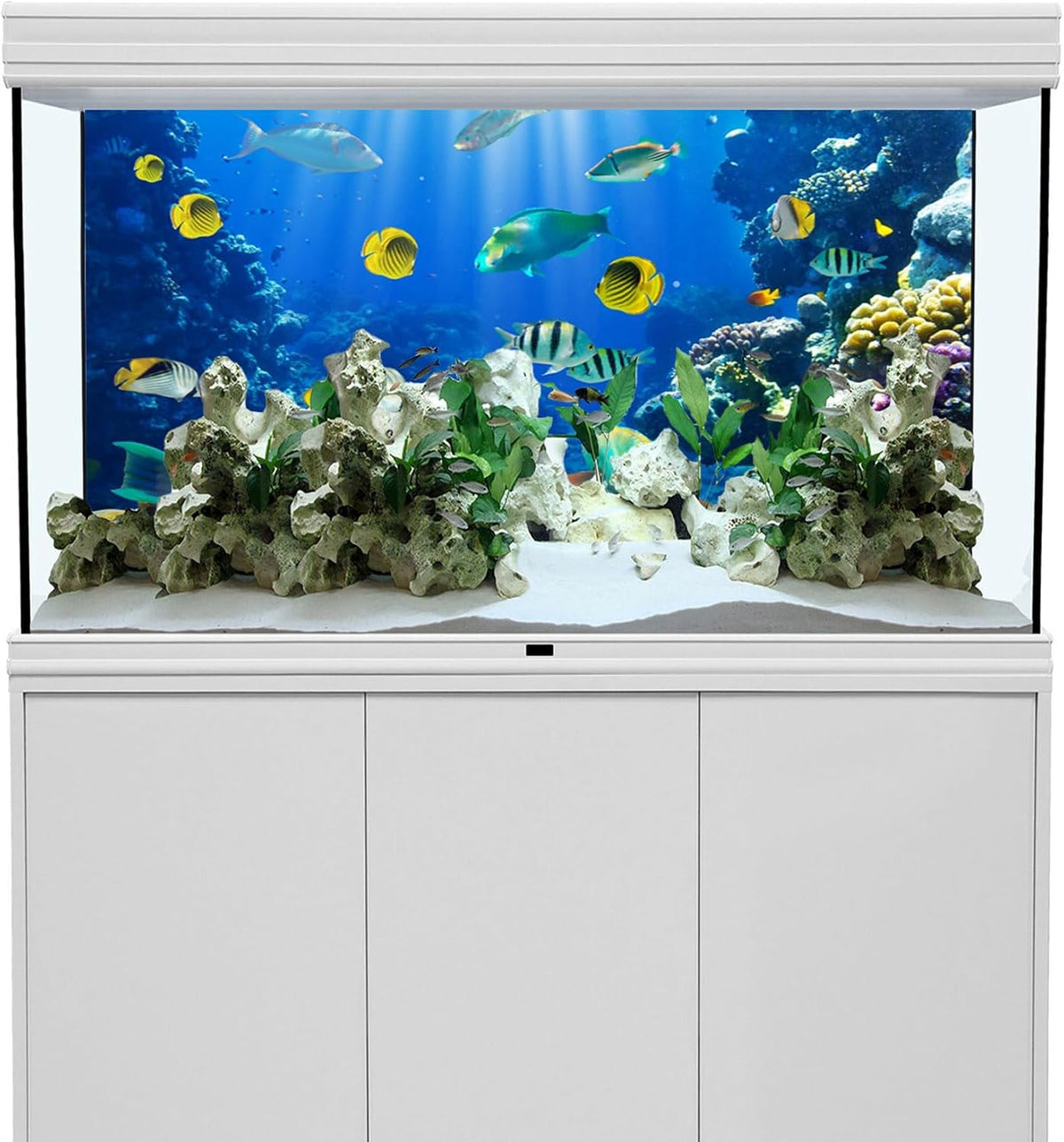 YongFoto 72x18 Inches Tropical Fish Terrarium Background, Deep Sea Marine Coral Polyester Aquarium Backdrop