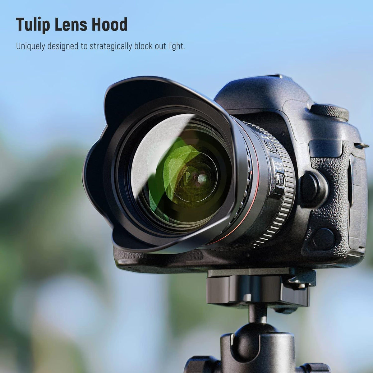 NEEWER 46mm ND Lens Filter Kit: UV, CPL, FLD, ND2, ND4, ND8, Lens Hood, Lens Cap for Canon Nikon Sony