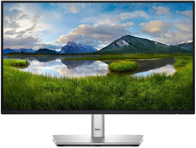 Dell 22 Monitor P2225H