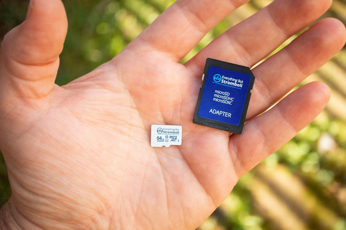 Everything But Stromboli 64GB Azaire MicroSD Memory Card for Samsung Galaxy Tablet, Bundle with Micro SD Reader