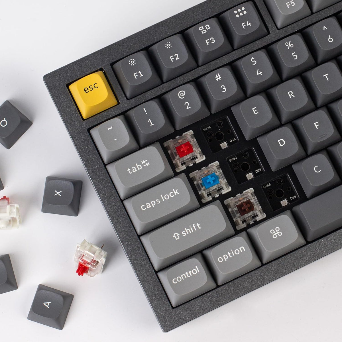 Keychron Q1 RGB Wired Custom Mechanical Keyboard Knob Version, 75% Layout QMK/VIA Programmable with Hot-swappable Gateron G Pro Brown Switch Double Gasket Compatible with Mac Windows Linux (Grey)