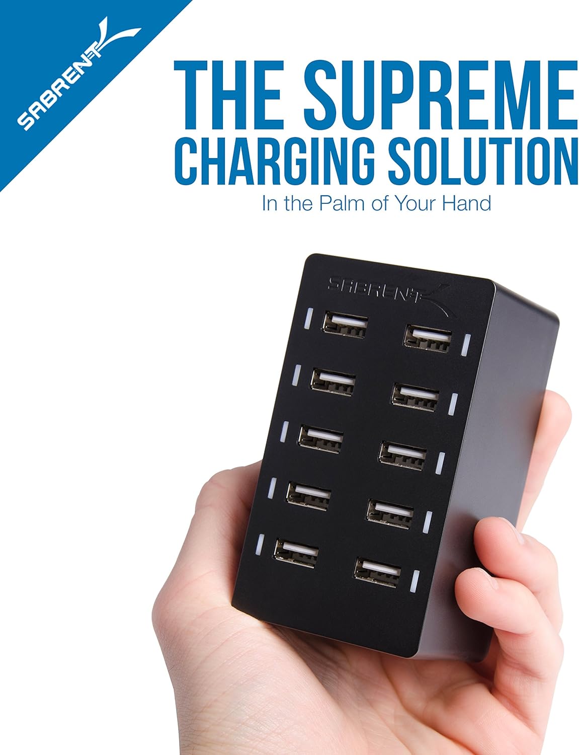 SABRENT 60 Watt 10-Port Family-Sized Desktop USB Rapid Charger, 6 Micro USB Cables, Black