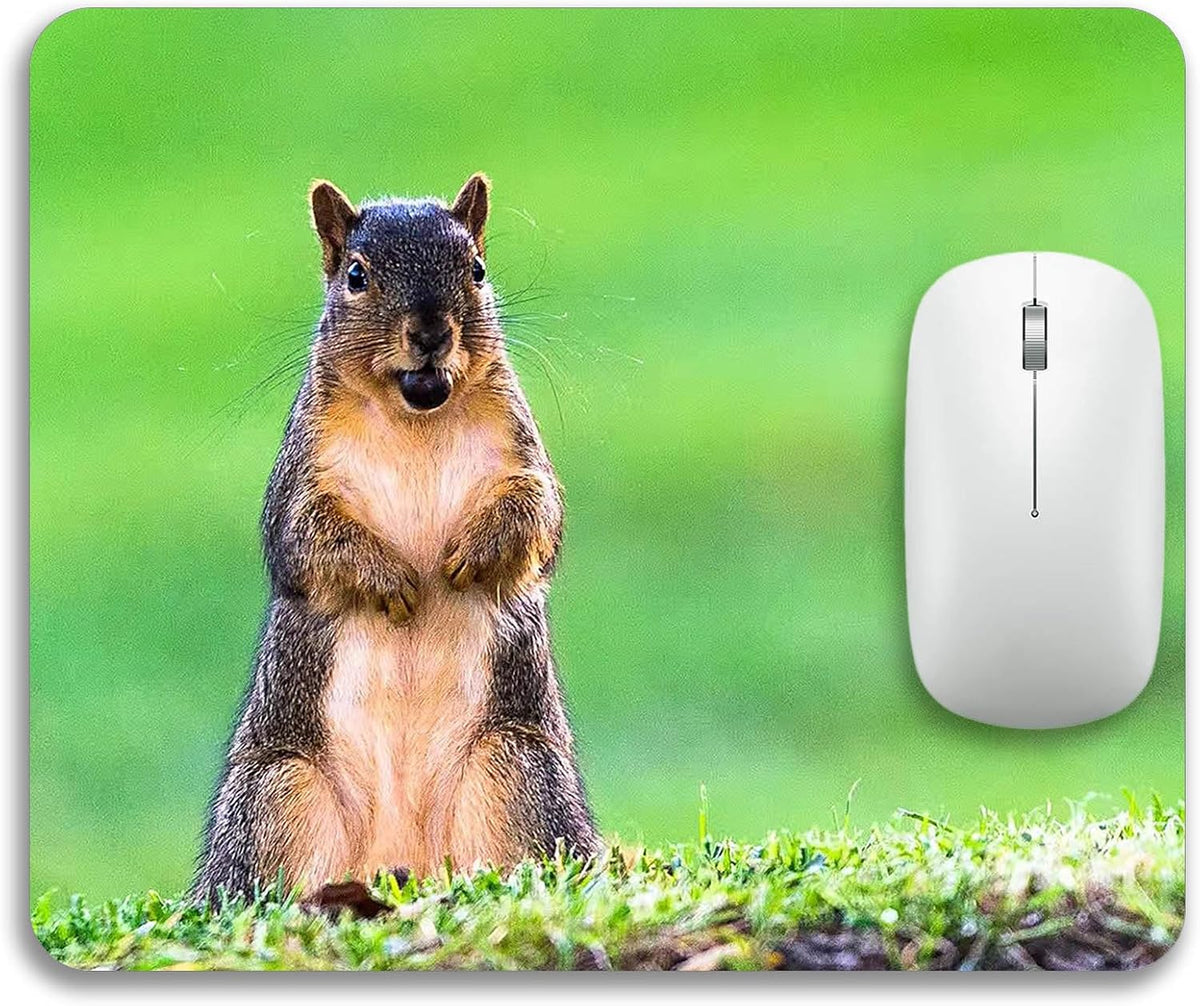 A Cute Animal on The Grass Mouse Pad Mat Rectangle Mousepad for Computer Laptop Home Office