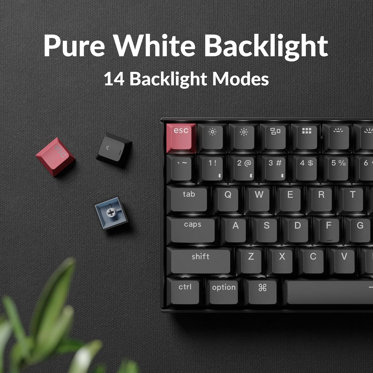 Keychron K2 75% Layout QMK Wireless and Wired Options Mechanical Keyboard Super Red Switch, Paired with Shine-Through Double-Shot PBT Keycaps for Mac Windows-Version 3