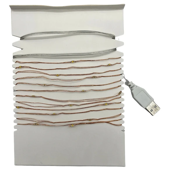 2-Pack 10-Ft USB Powered Indoor/Outdoor LED Copper Wire String Light